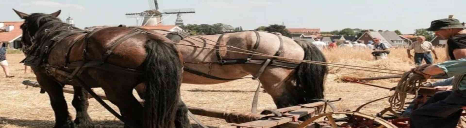 Nostalgische Oogstdag Ootmarsum