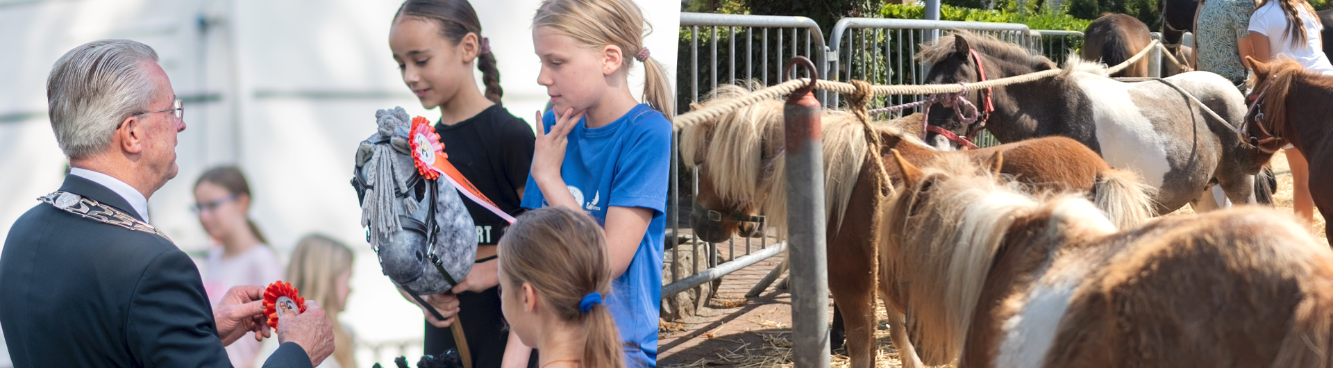 PAARDENMARKT ENTER 20250807
