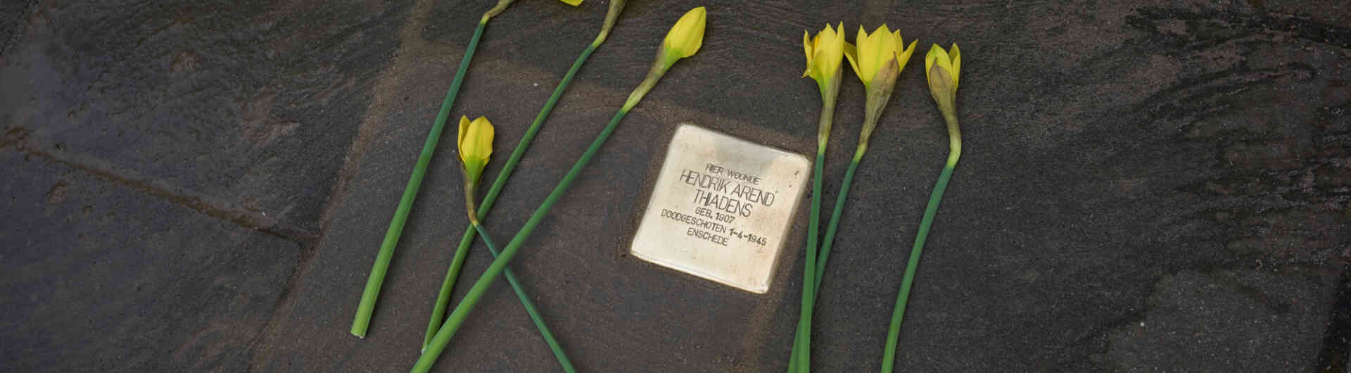 Henk Thiadens - struikelsteen