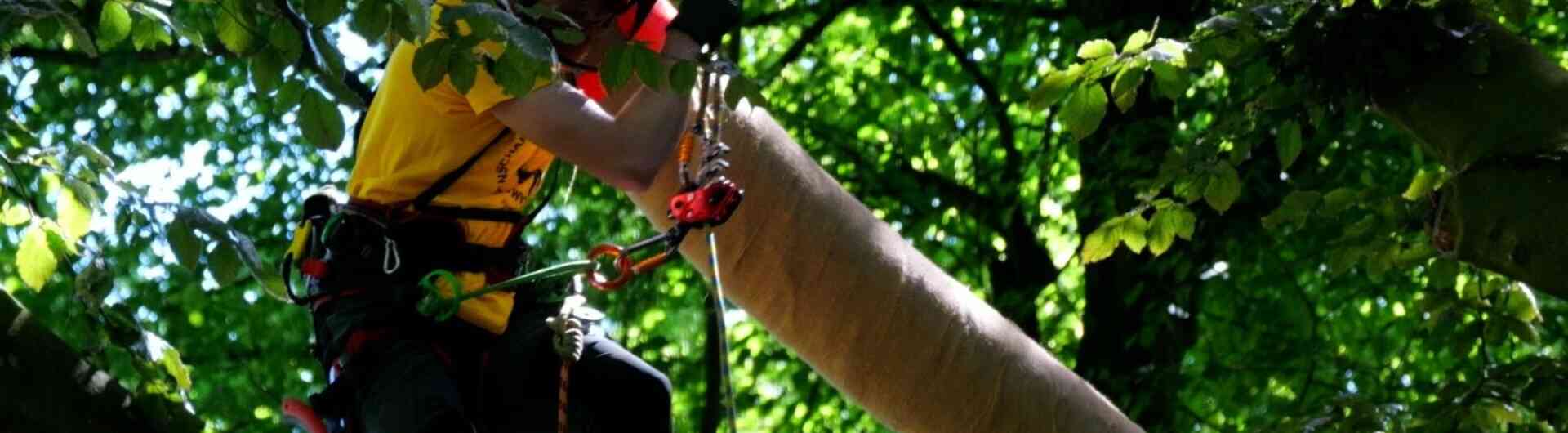 NK Boomspecialisten Volkspark
