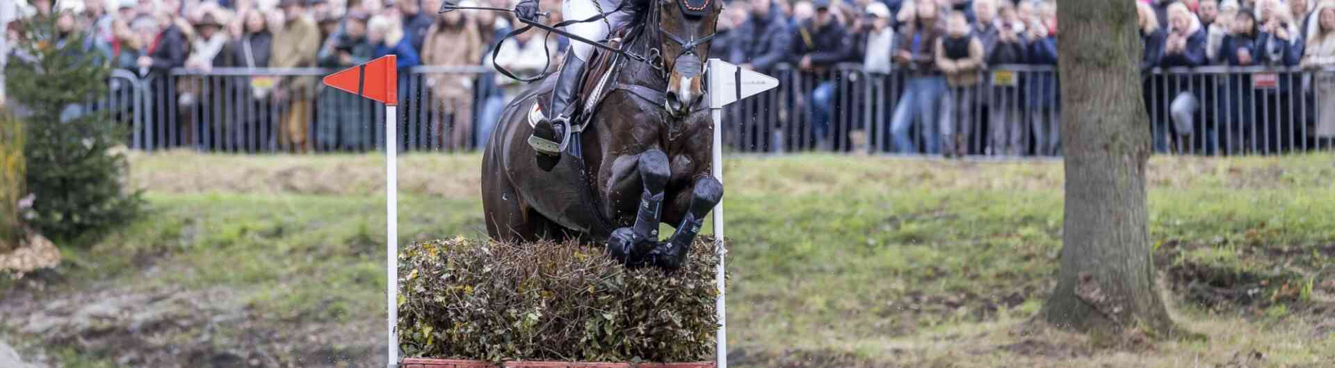 Winnares 2024 Julia Krajewski met Nickel 21