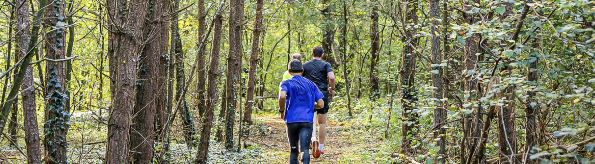 Dom vedan trail