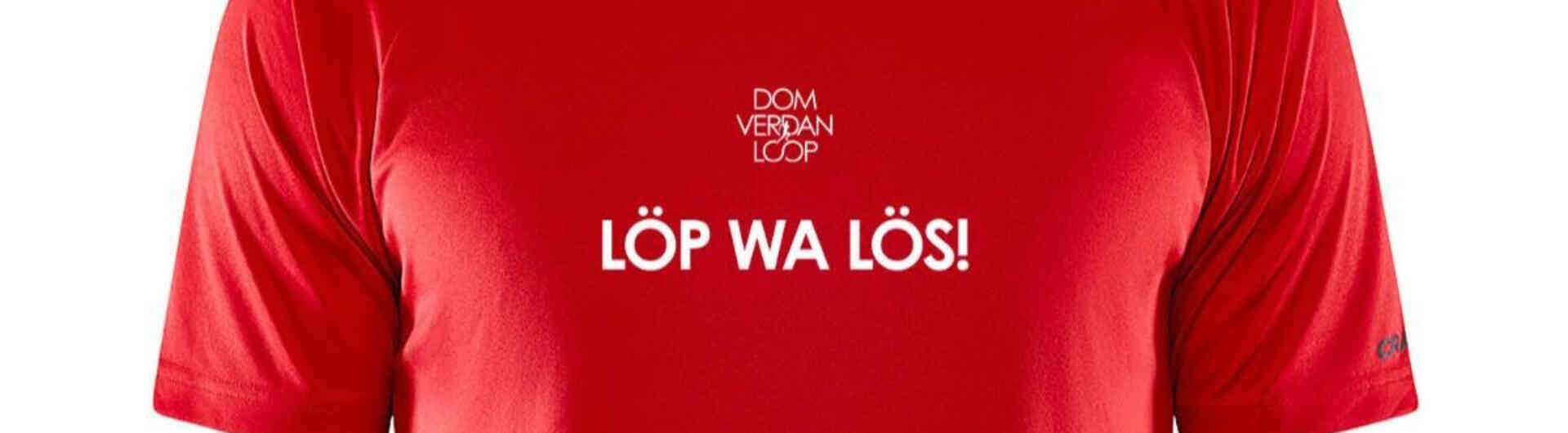 Dom vedan tshirt
