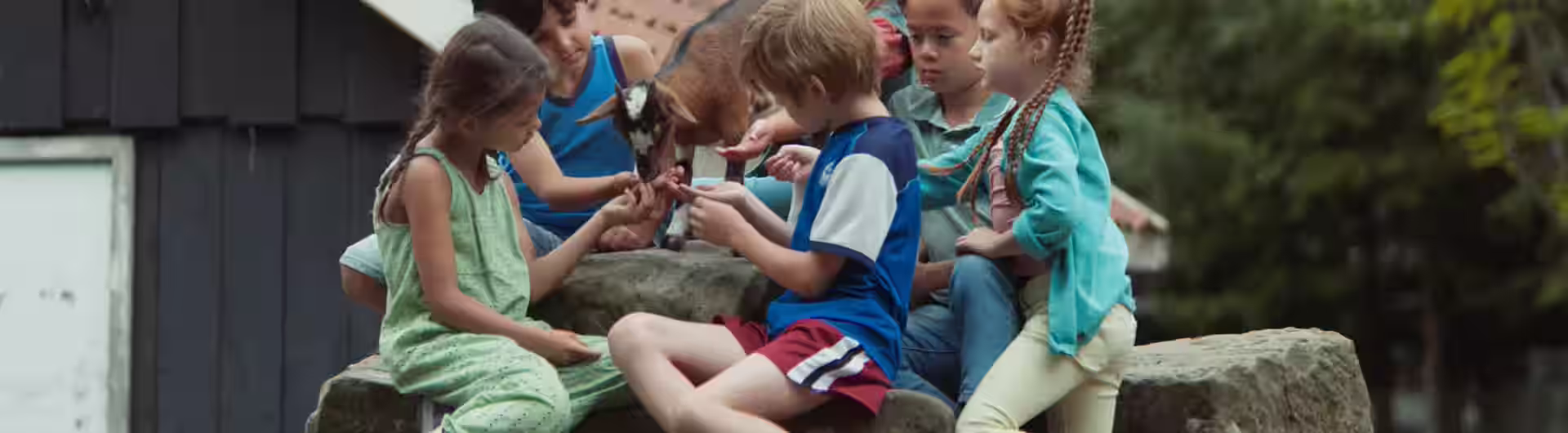 Geitje voor een karweitje aflevering 10 2