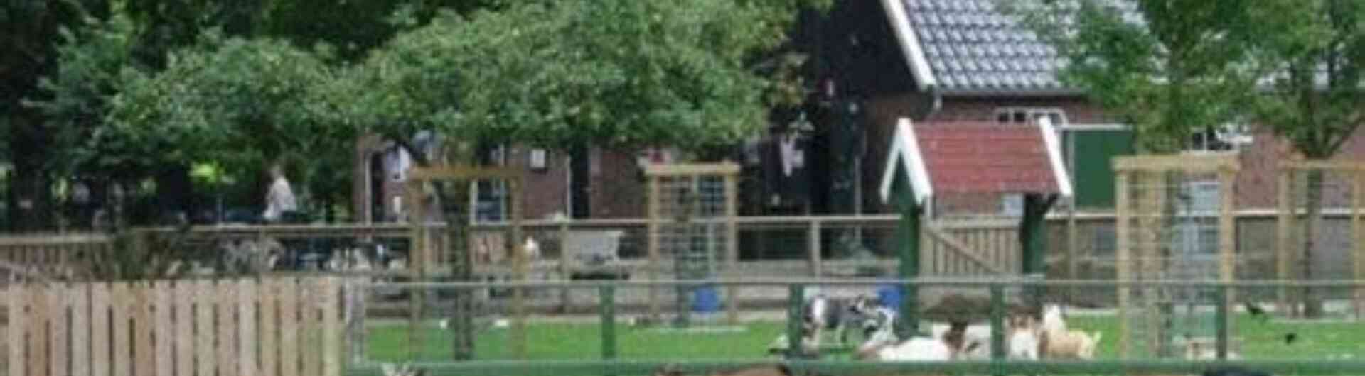 Kinderboerderij enschede noord