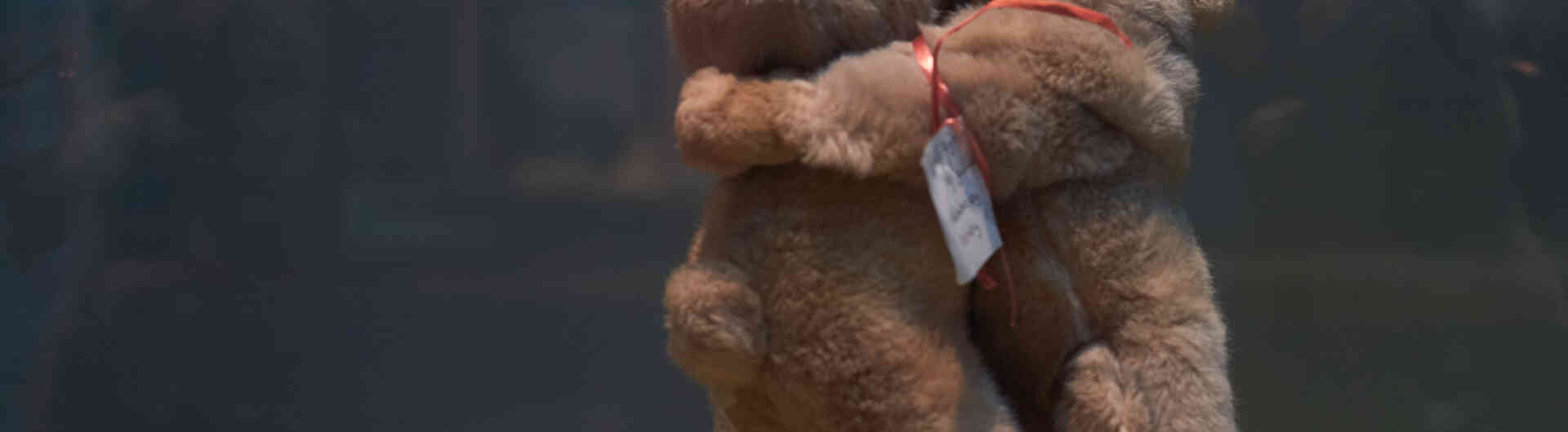 Knuffels vuurwerkramp