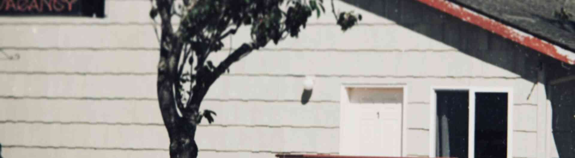 Pexels anton imbro 966007 1975106