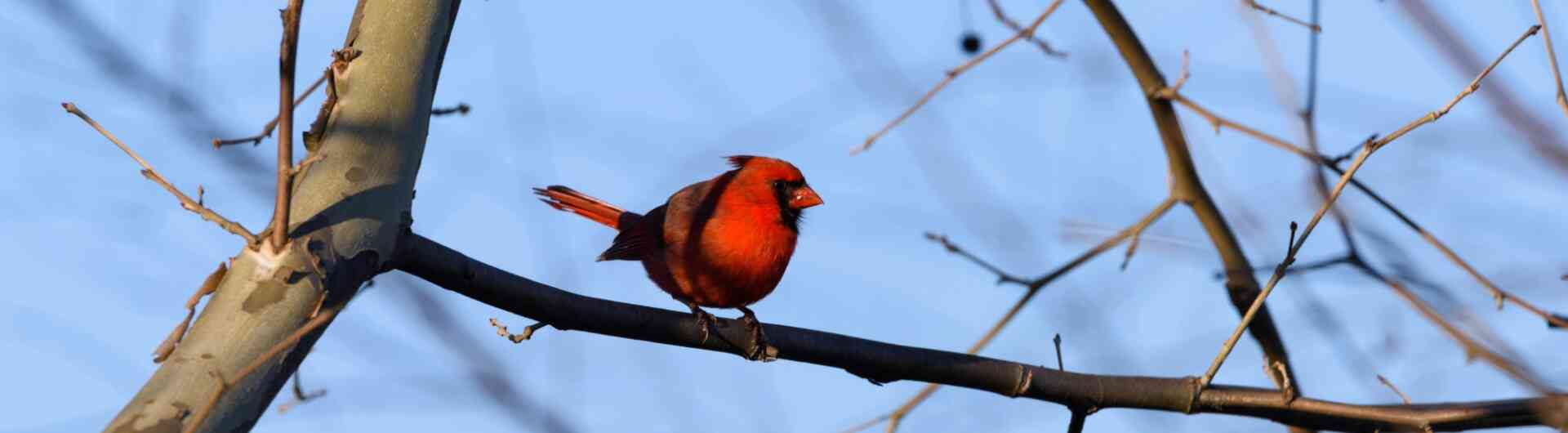 Pexels jay brand 1763356224 31448054