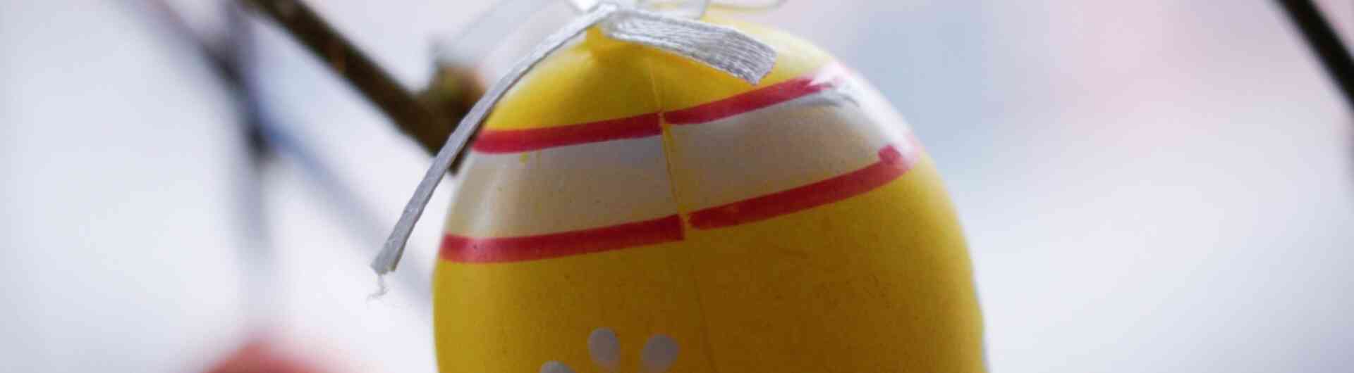 Pexels photo 20763993