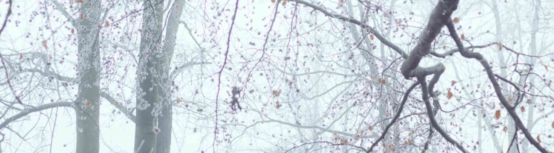 Pexels photo 6494996