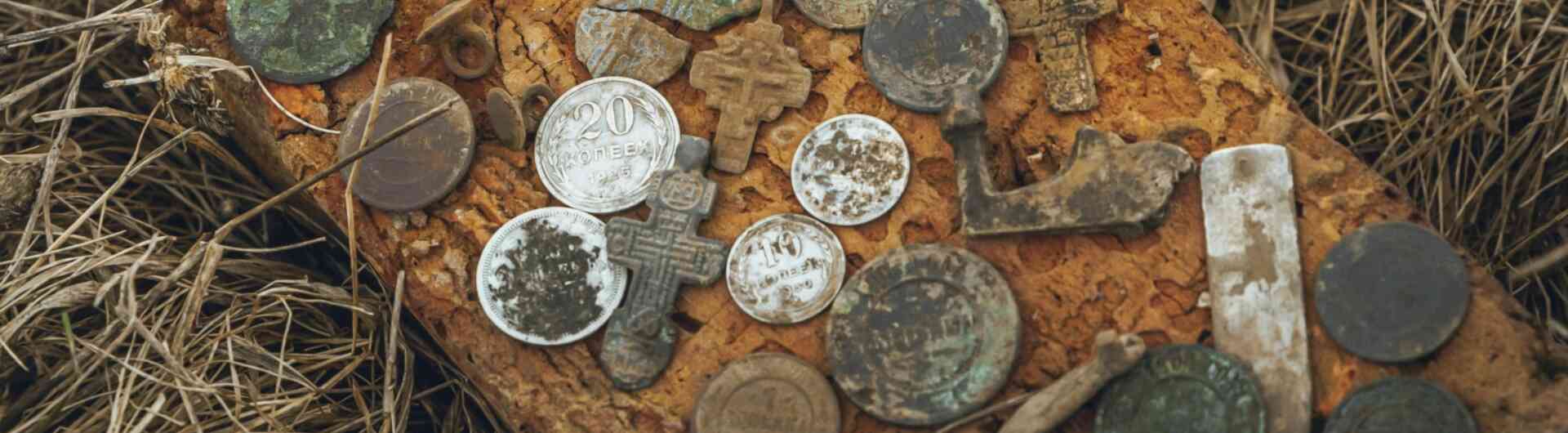 Pexels photo 8671545