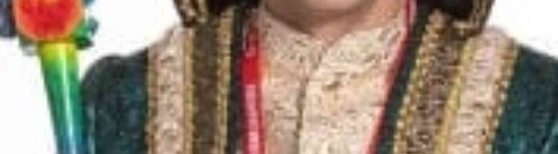 Prins harbrinkhoek dubbelkiekers