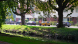 Kastanjers tuindorp t lansink gekapt