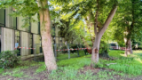 Omgevallen boom storkhek 1twente 2