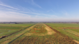 2025 01 31 schapen op huyerenseveld