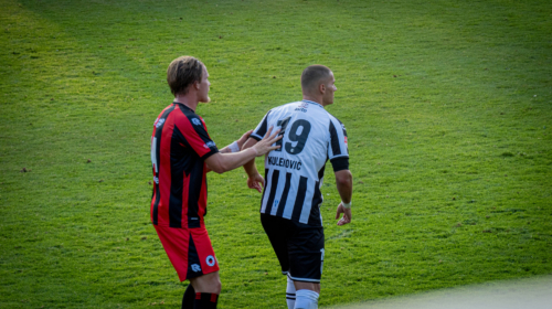 Luka Kulenovic Casper Widell