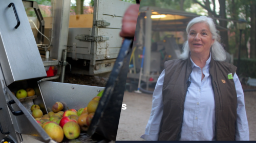 Fruitpersdag Manderveen 2026