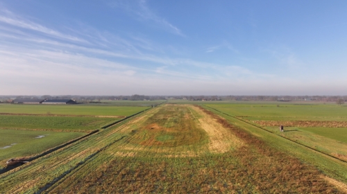 2025 01 31 schapen op huyerenseveld
