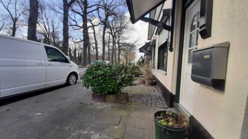 20250320 Oosterstraat snippergroen Enschede