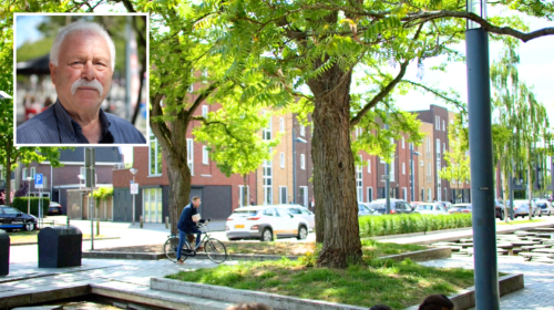 202505 bomen in Roombeek en Donato De Vivo 1 Twente