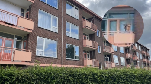 20260703 kruisboogschutter kenzo k