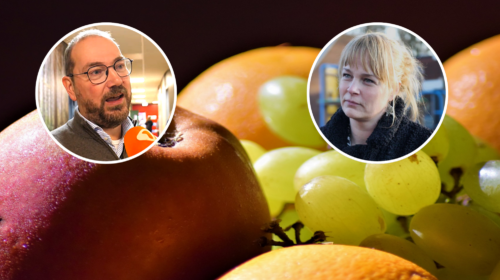 260630 schoolfruit hengelo