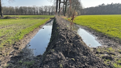 20260311 twickel houtwallen aanleg IMG 1635