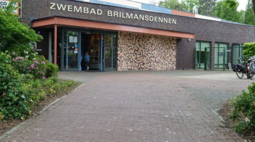 Brilmansdennen
