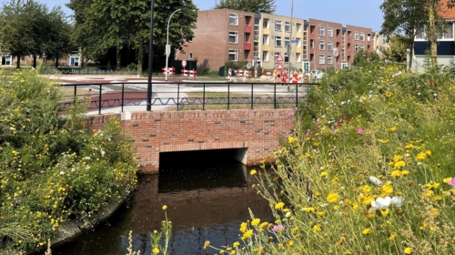 260000 foto bankastraat met beek 2024 gerda minkjan