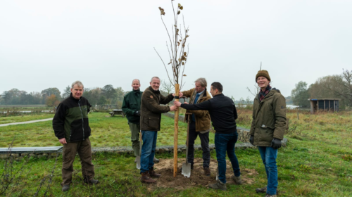 Bijlage Boomdeeldag voor inwoners gemeente Wierden