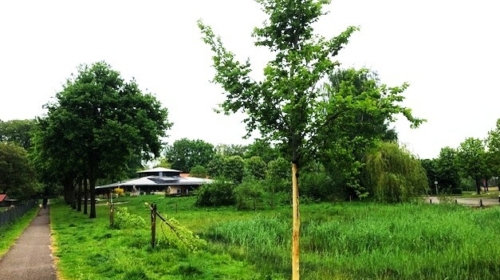 Bomen geknakt 2