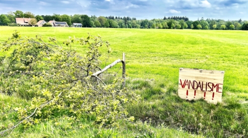 Boomvandalisme Denekamp