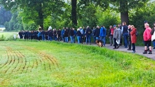 Dauwtrappen onderweg