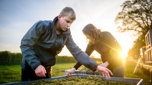 ESKERWIJN LANGEVEEN,Eigenaar Jorieke