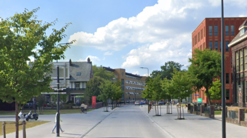 Google Streetview Ripperdastraat