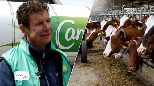 Familie Haamberg Tiligte