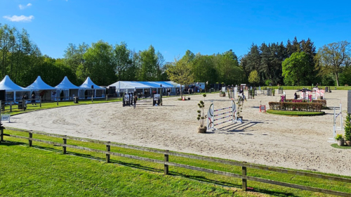 Het Twentse Ros Albergen concours 20250415