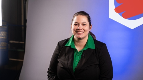 Linsey van der Veen D66 Gemeenteraadsverkiezingen 2026 LOGO