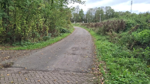 Losser De Lutte rudingpad 0