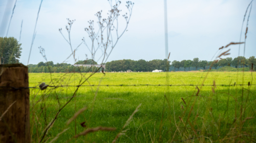 Munitieopslag Weerselo zoekgebied 1