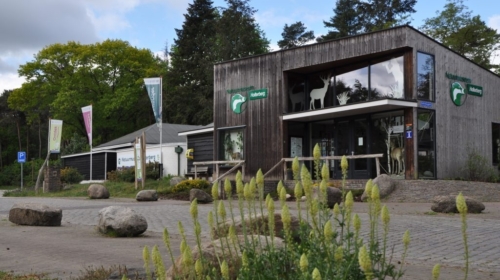 Natuurmuseum holterberg