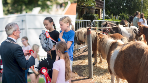 PAARDENMARKT ENTER 20250807