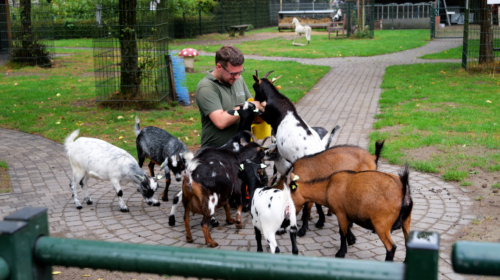 STADSBOERDERIJ BEEKLUST AFBEELDING