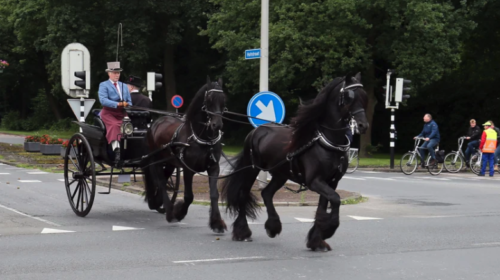 20230621 Almelose Ruiterdagen Koetsentocht