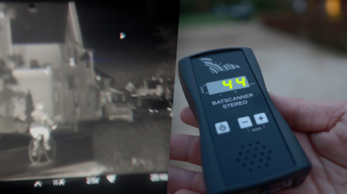 VLEERMUIZEN VASSE 20260416