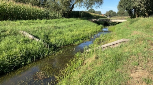 Vechtstromen geelebeek 2 1