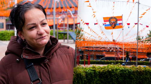WK VERSIERING VINKENPLEIN AFBEELDING