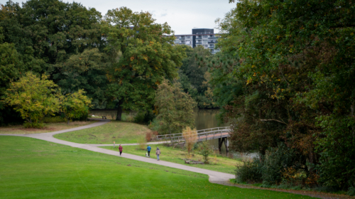 Wesselerbrinkpark vanaf de bult