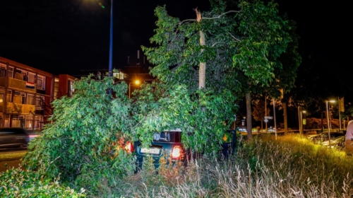 botsing - ongeluk - auto - boom - Oliemolensingel