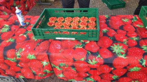 Henk Eerdman en zijn aardbeien